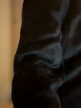 Toffee-00's cam snapshot