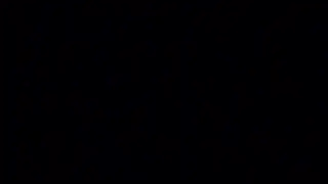 elogordo_ live sex cam