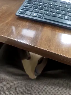 Kakabiraji's cam snapshot