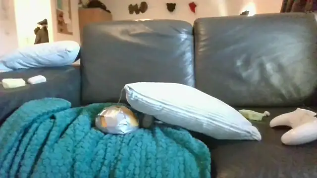 toyxltester live sex cam