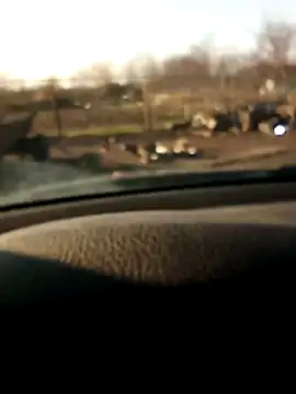 Rolandxxxr's cam snapshot