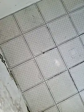 preya6's cam snapshot