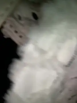 Meii-meyy live sex cam