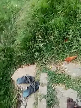 dolphiinn's cam snapshot