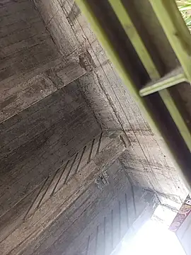 -Nicol's cam snapshot