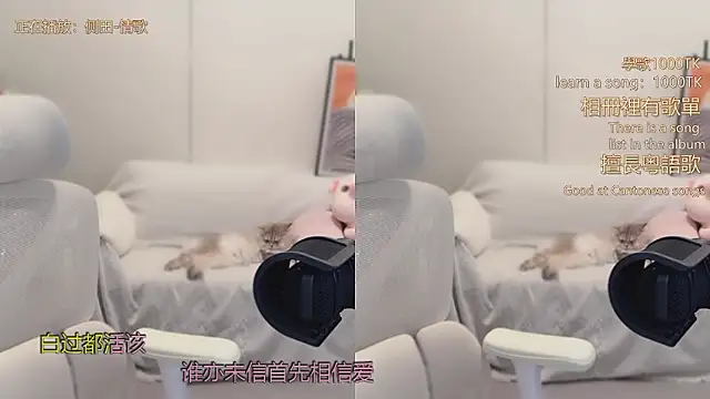 babykitty- live sex cam