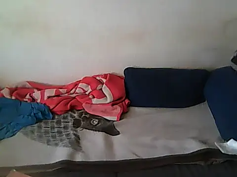 schmidtler35 live sex cam