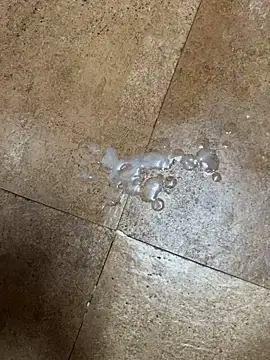 Manas1610 live sex cam