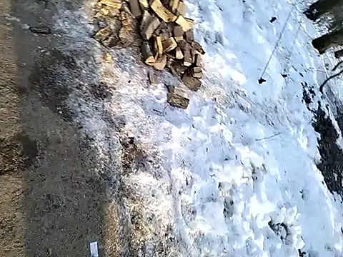 Odecca11's cam snapshot