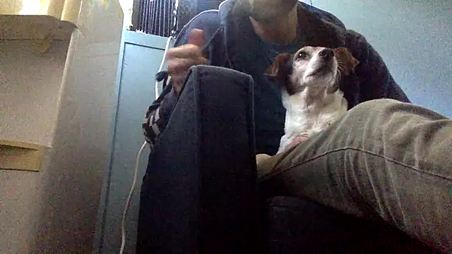 sexyhotstud12 live sex cam