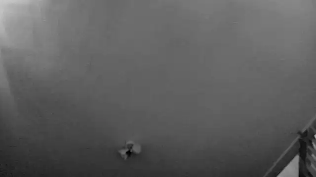 MasterDaddyCool's cam snapshot