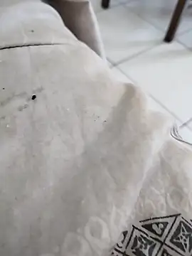 eliape's cam snapshot