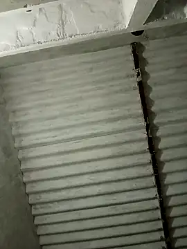 Payal950's cam snapshot