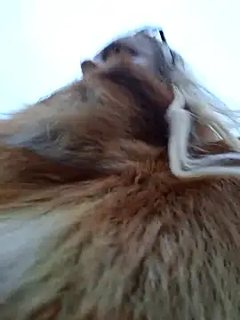 martachatte's cam snapshot