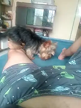 novinho091299's cam snapshot