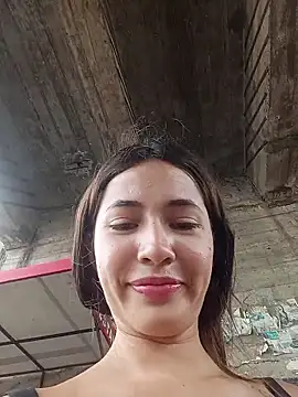 -Nicol's cam snapshot