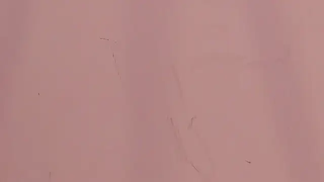 Taylor_walton's cam snapshot