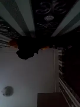 Ianne150 live sex cam