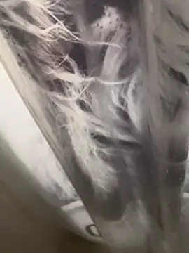 307daddyfucker's cam snapshot