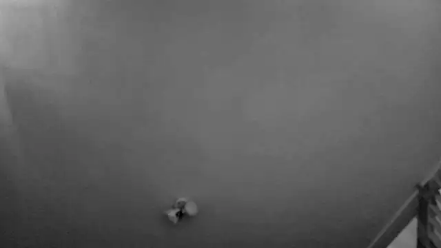 MasterDaddyCool's cam snapshot