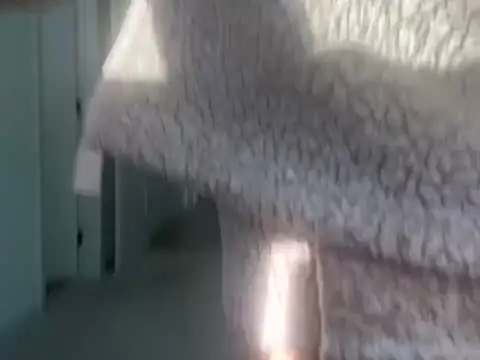 geld_88 live sex cam