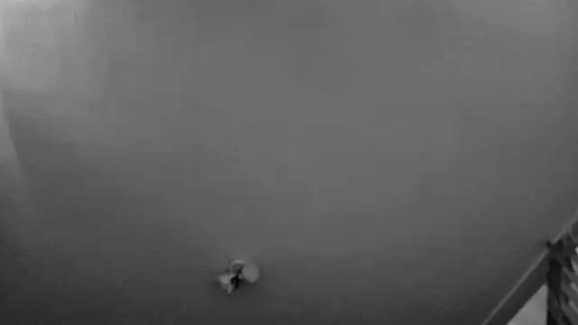 MasterDaddyCool's cam snapshot