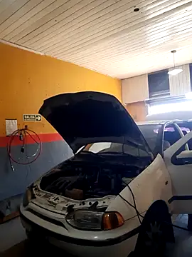 hecwil8 live sex cam