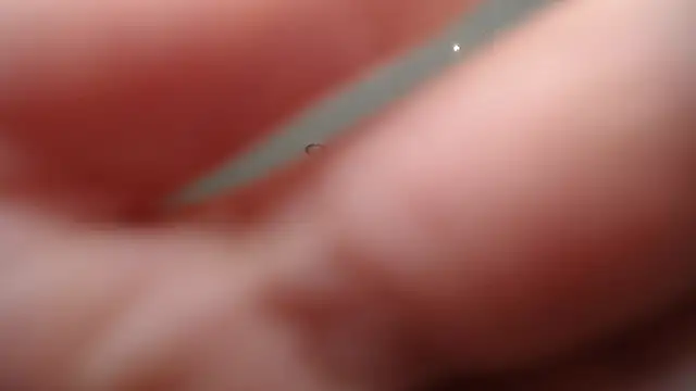 NickyAdamidi live sex cam