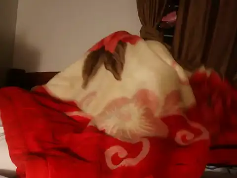 taikhoanbichan's cam snapshot