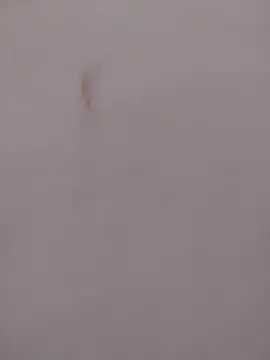 cutee_Baby_angel's cam snapshot