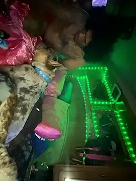 Codybabyy456 live sex cam