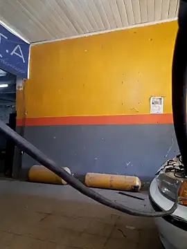 hecwil8 live sex cam