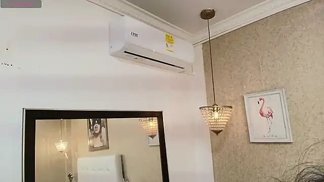 Miladiosa's cam snapshot