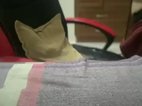 ALPHANDRE's cam snapshot