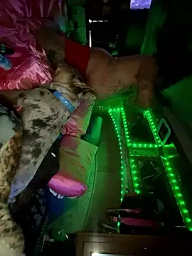 Codybabyy456 live sex cam