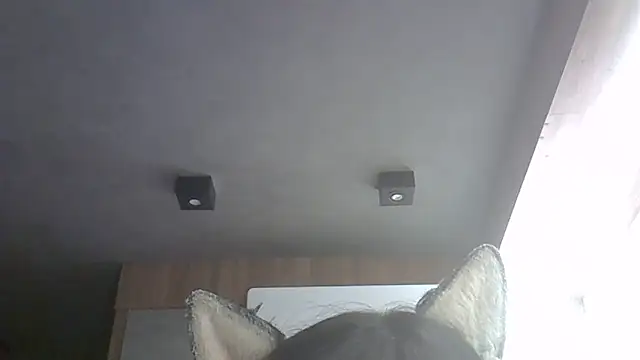 SkinnyKitten's cam snapshot