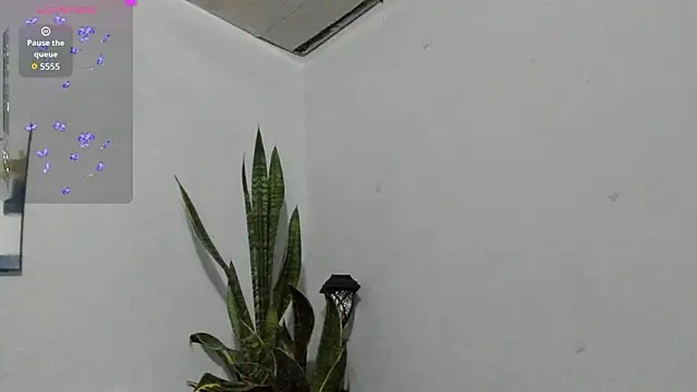 Sophia_Ebony live sex cam