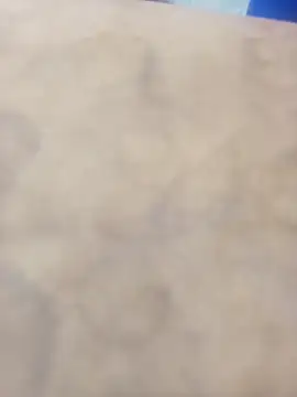 DodderedSitka live sex cam