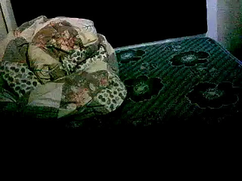 honeypotsweet's cam snapshot