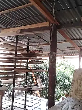 hoteder live sex cam