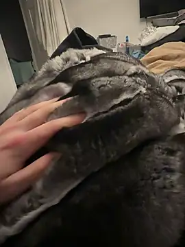 Furdale's cam snapshot