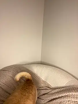 SexyWillowUk's cam snapshot