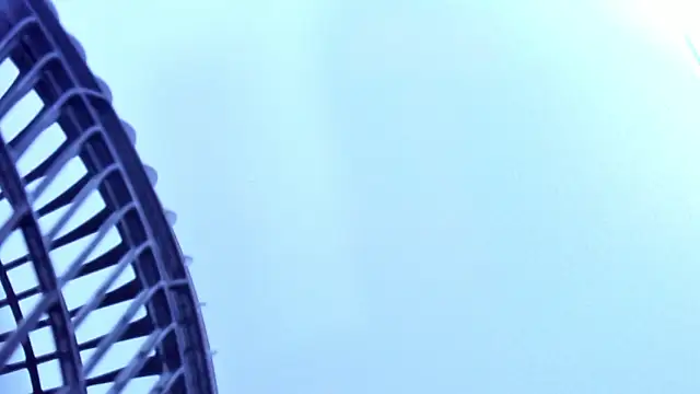 Roy_fox_'s cam snapshot