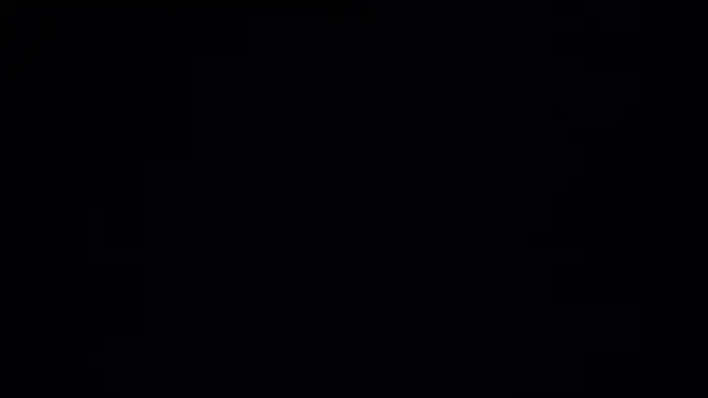 Leaders_sex live sex cam