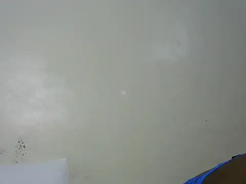 Rasta_tattooed's cam snapshot