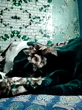 EngravedCecropia's cam snapshot