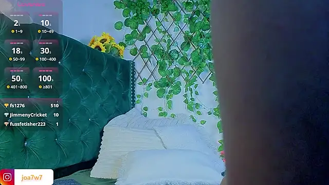 Levii_Ackermann's cam snapshot