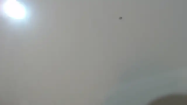 Stayfreed1's cam snapshot