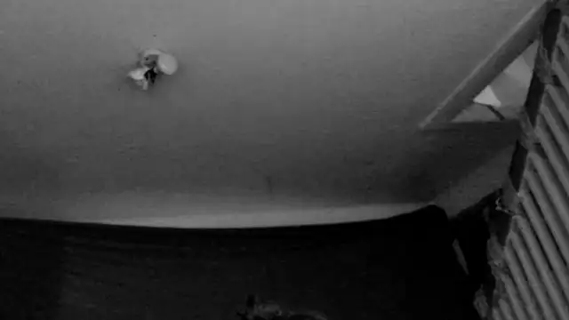 MasterDaddyCool's cam snapshot