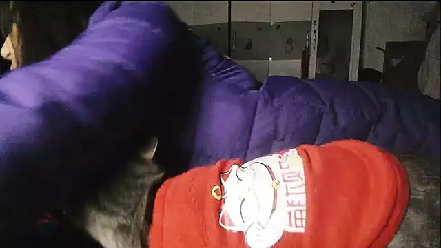 hebe-02 live sex cam